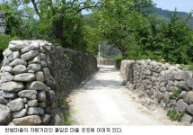 [집성촌]부림 홍씨 250가구 거주 한밤마을(군위 부계면 대율리)