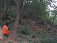 헉! 야생 멧돼지다…앞산·와룡산 등 출몰