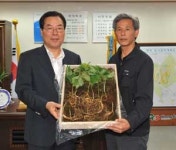 영마루산양삼산약초산야채농원 | '산양삼으로 신종플루 물리쳐 주세요"