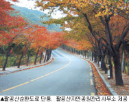 [단풍여행]가는 곳마다 색동물결 팔공산