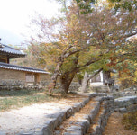[하국근의 풍수기행]  경주 독락당