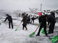 눈폭탄 골병 든 골프장…주말도 개장 불투명