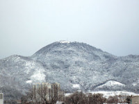 영덕 고불봉 시산제 명소 각광