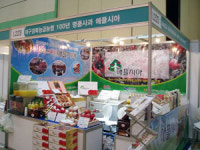 명품 사과 유통망 완비, 해외 판로도 활짝…대구경북능금농협
