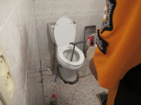 화장실 변기서 뱀이 불쑥…초등학교 사택 소동