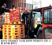 ㈜합천식품(제2공장) | 합천군, 세계 최대 농수산물 수입국 일본시장 성공적 공략