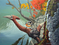 [동행, 경북을 걷다] (49)영양 금강송 생태경영림