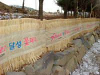 [시민기자] 조경 동해방지 방풍막도 차별?