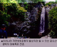 [김종욱의 박정희 이야기] (19)태어나서 자란 곳, 구미(상)