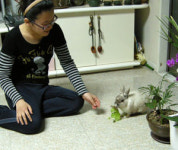 토비도 엄연한 가족 토끼 키우는 박성규·최원숙 씨