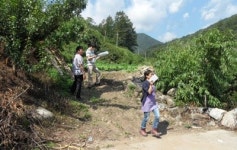 영주시 소백산자락길  <배점주차장∼초암사>구간  옛길 복원 정비