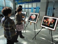 사진으로 포항국제불빛축제의 감동 다시 느껴보세요!