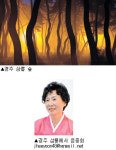 [포토갤러리] 경주 삼릉 숲