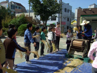 [시민기자] 수성초교 쌀농사 풍년이요