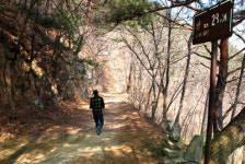 [옛길기행]<44>영양 외씨버선길