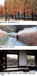 [아름다운 길, 가고 싶은 길] 대구근교 걷기 좋은 길