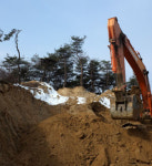 농장 만든다더니 소나무 어디갔노?