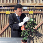 수입종자`묘목류 특별 검역