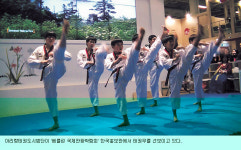 영천 아리랑 태권무 베를린서 으랏차차 관객들 극찬