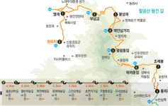 트레킹 코스 명품 팔공산 왕건 길…총 35km