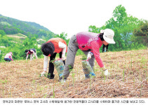 “맛`향 뛰어난 영덕 청정 고사리 드시러 오세요”