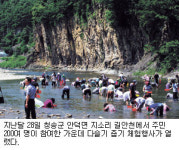 길안천 다슬기 줍기 “여름 추억 최고”