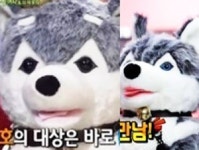 브라우니 겹치기 출연 ‘강심장’은 브라우니 동생 브러우니? ‘헉’