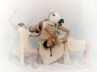 무용의 진보…몸짓을 재창조한 동물농장