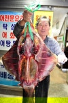 [맛 향토음식의 산업화] 흑산도 홍어회