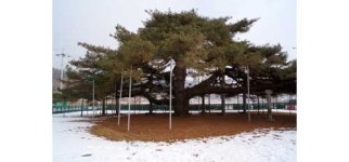 [버스로 그리는 경북 스케치] <7>예천 둘러보기