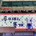 빵터지는 애견샵 이름 “루이비 똥개는 개편한세상으로 오세요~!”