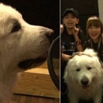 상근이 래퍼 헉! 1박 2일 상근이가 랩을 한다고?…말도 할 줄 아나?