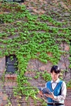 담쟁이, 억척 생명력 대구 상징이 되다