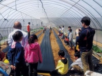 어린이에 농업의 중요성 일깨우기