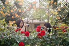 [포토뉴스] 장미의 계절, 활짝 핀 女心