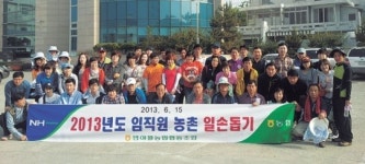 [이런일] 반야월농협 농촌 일손돕기