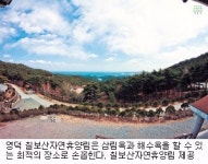 [여름 휴가, 힐링을 찾아서] 자연휴양림 계곡 캠핑