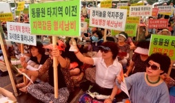 동물원 오기로 20년 전 결정됐는데…