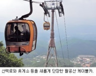[도심 속 여름 즐기기] 팔공산`앞산 케이블카