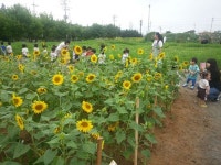 [도심을 텃밭으로 만들자] <4>캡슐씨앗…스마트 텃밭…똑똑해지는 도시농업