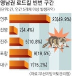 로드킬 최고 위험지역 영주 풍기