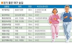 갓바위길·앞산자락길…이름만 들어도 힐링