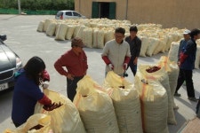 건고추 정부수매 1등급이 96%