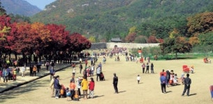 떠나는 가을 아쉽다면 문경 새재로