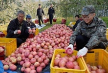 [포토뉴스] 농촌일손돕기 참가 군 장병들