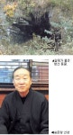 [시민기자의 눈] 도동 측백나무숲 4개 동굴 “日 만행의 흔적”