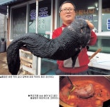 [동해안 겨울 별미 여행] 물곰탕