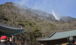 구미 도리사 잿더미 될 뻔…뒷산에 불 나 2시간 만에 진화