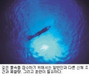 동호산업테크푸르네존총판 | [동호동락] 거대한 푸르름에 대하여