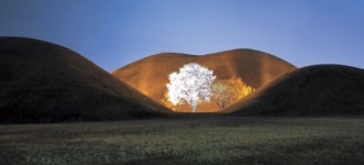 [오후의 풍경] 봄을 유혹하는 목련